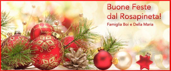 Rosapineta Natale 2018ITA.jpg