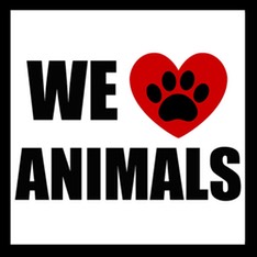 love animals